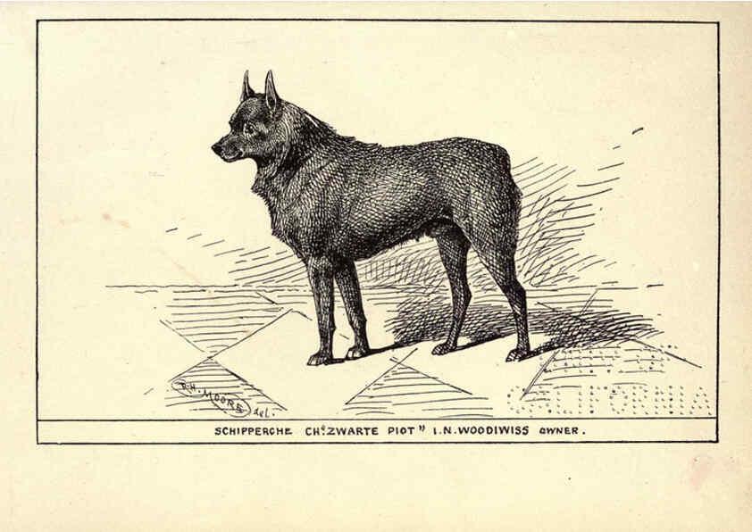 Reproducción/Reproduction 6233746849: All about dogs; a book for doggy people New York,J. Lane,1900