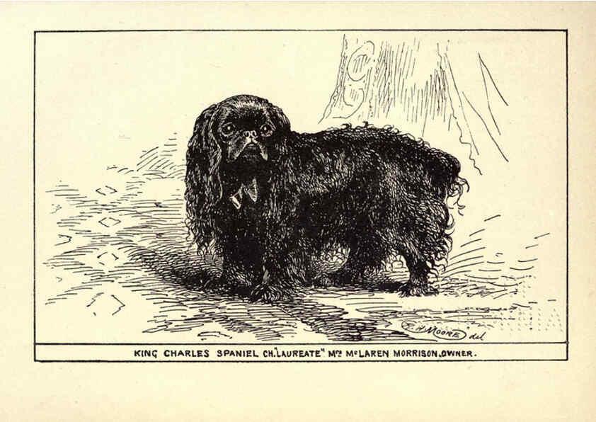 Reproducción/Reproduction 6233746963: All about dogs; a book for doggy people New York,J. Lane,1900