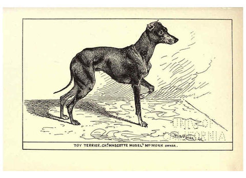 Reproducción/Reproduction 6233747729: All about dogs; a book for doggy people New York,J. Lane,1900