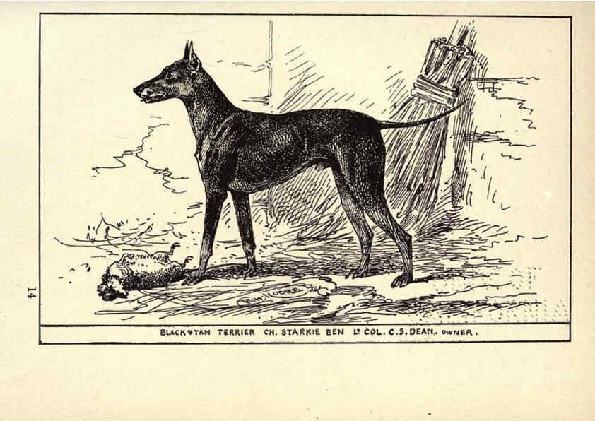 Reproducción/Reproduction 6233745529: All about dogs; a book for doggy people New York,J. Lane,1900