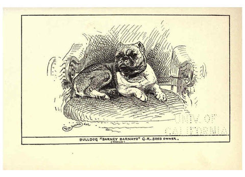 Reproducción/Reproduction 6234268948: All about dogs; a book for doggy people New York,J. Lane,1900