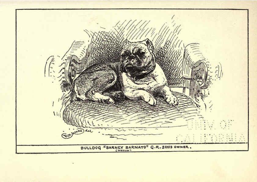Reproducción/Reproduction 6234268948: All about dogs; a book for doggy people New York,J. Lane,1900