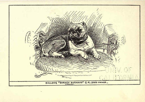 Reproducción/Reproduction 6234268948: All about dogs; a book for doggy people New York,J. Lane,1900