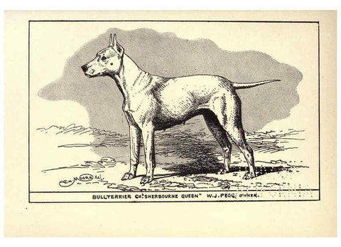 Reproducción/Reproduction 6233744671: All about dogs; a book for doggy people New York,J. Lane,1900