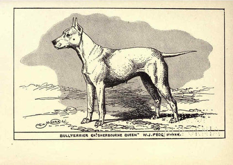 Reproducción/Reproduction 6233744671: All about dogs; a book for doggy people New York,J. Lane,1900
