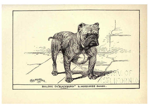 Reproducción/Reproduction 6234268628: All about dogs; a book for doggy people New York,J. Lane,1900