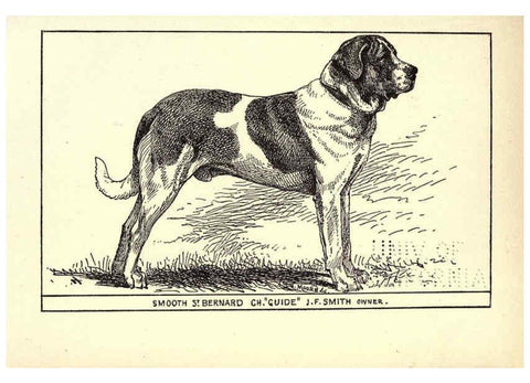 Reproducción/Reproduction 6233742759: All about dogs; a book for doggy people New York,J. Lane,1900