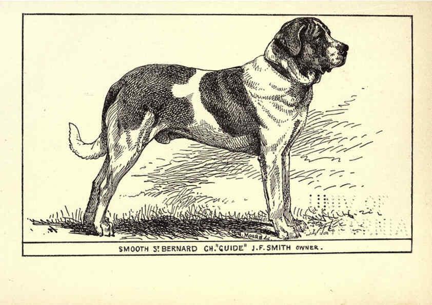 Reproducción/Reproduction 6233742759: All about dogs; a book for doggy people New York,J. Lane,1900