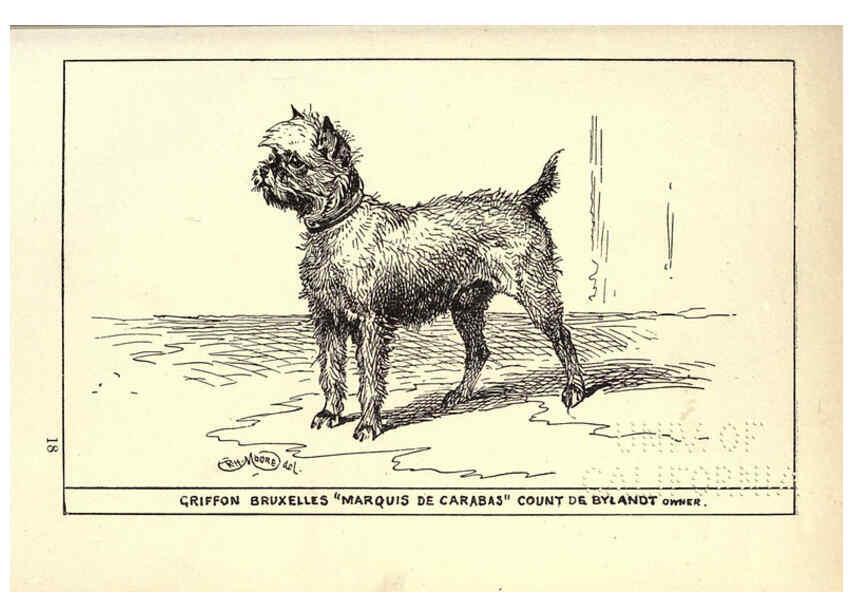 Reproducción/Reproduction 6233748181: All about dogs; a book for doggy people New York,J. Lane,1900