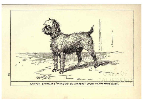 Reproducción/Reproduction 6233748181: All about dogs; a book for doggy people New York,J. Lane,1900