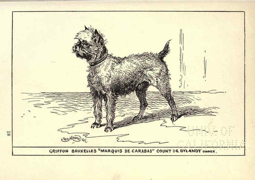 Reproducción/Reproduction 6233748181: All about dogs; a book for doggy people New York,J. Lane,1900