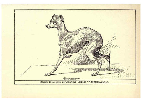 Reproducción/Reproduction 6233748553: All about dogs; a book for doggy people New York,J. Lane,1900