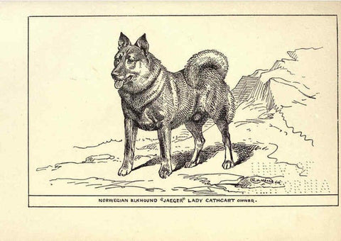 Reproducción/Reproduction 6233748739: All about dogs; a book for doggy people New York,J. Lane,1900
