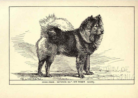 Reproducción/Reproduction 6234273940: All about dogs; a book for doggy people New York,J. Lane,1900