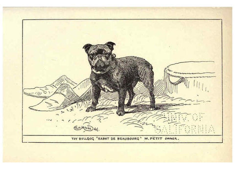 Reproducción/Reproduction 6233748307: All about dogs; a book for doggy people New York,J. Lane,1900