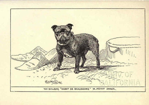 Reproducción/Reproduction 6233748307: All about dogs; a book for doggy people New York,J. Lane,1900