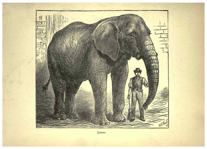 Reproducción/Reproduction 6221064754: Forest and jungle, or, Thrilling adventures in all quarters of the globe Chicago ;The Werner Company,1896