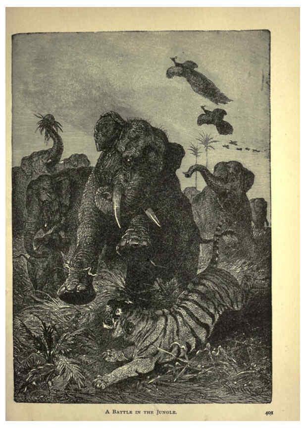 Reproducción/Reproduction 6220544659: Forest and jungle, or, Thrilling adventures in all quarters of the globe Chicago ;The Werner Company,1896