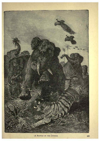 Reproducción/Reproduction 6220544659: Forest and jungle, or, Thrilling adventures in all quarters of the globe Chicago ;The Werner Company,1896