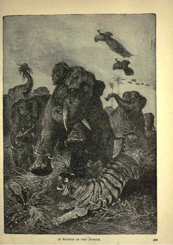 Reproducción/Reproduction 6220544659: Forest and jungle, or, Thrilling adventures in all quarters of the globe Chicago ;The Werner Company,1896