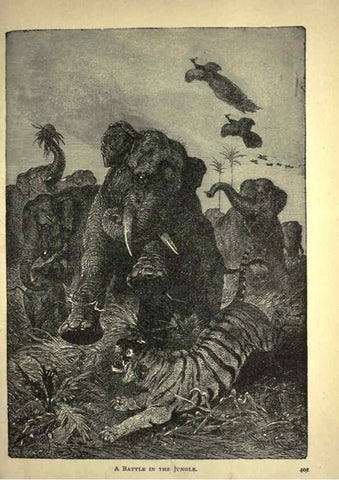 Reproducción/Reproduction 6220544659: Forest and jungle, or, Thrilling adventures in all quarters of the globe Chicago ;The Werner Company,1896