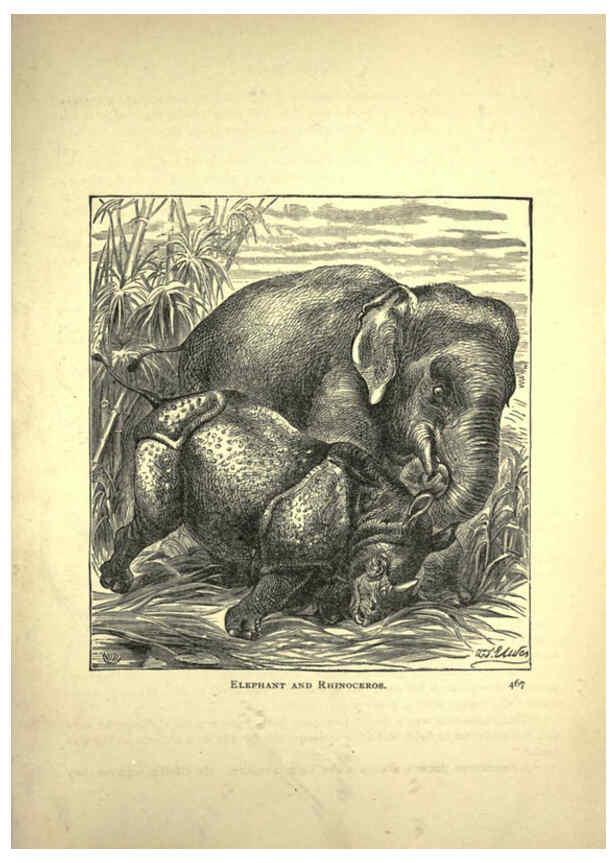 Reproducción/Reproduction 6220545707: Forest and jungle, or, Thrilling adventures in all quarters of the globe Chicago ;The Werner Company,1896
