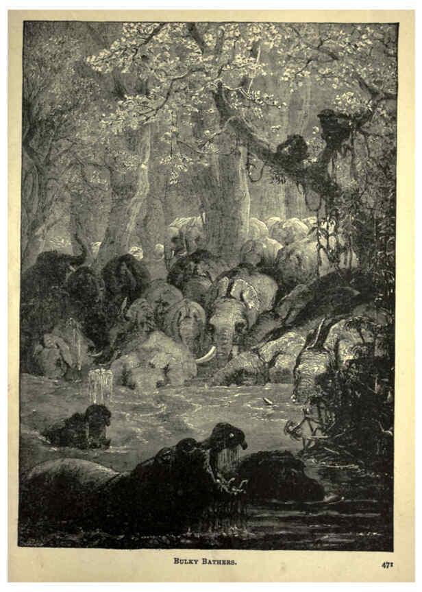 Reproducción/Reproduction 6220545899: Forest and jungle, or, Thrilling adventures in all quarters of the globe Chicago ;The Werner Company,1896