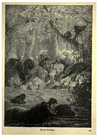 Reproducción/Reproduction 6220545899: Forest and jungle, or, Thrilling adventures in all quarters of the globe Chicago ;The Werner Company,1896