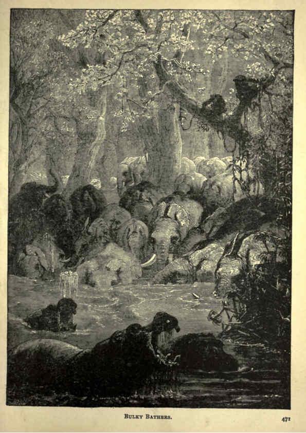 Reproducción/Reproduction 6220545899: Forest and jungle, or, Thrilling adventures in all quarters of the globe Chicago ;The Werner Company,1896