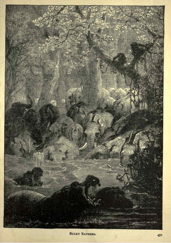 Reproducción/Reproduction 6220545899: Forest and jungle, or, Thrilling adventures in all quarters of the globe Chicago ;The Werner Company,1896