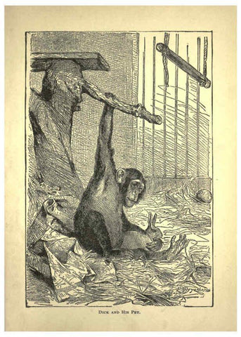 Reproducción/Reproduction 6220546443: Forest and jungle, or, Thrilling adventures in all quarters of the globe Chicago ;The Werner Company,1896