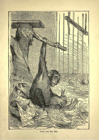 Reproducción/Reproduction 6220546443: Forest and jungle, or, Thrilling adventures in all quarters of the globe Chicago ;The Werner Company,1896