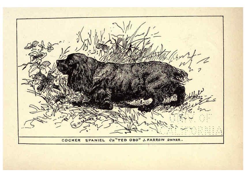 Reproducción/Reproduction 6233739969: All about dogs; a book for doggy people New York,J. Lane,1900