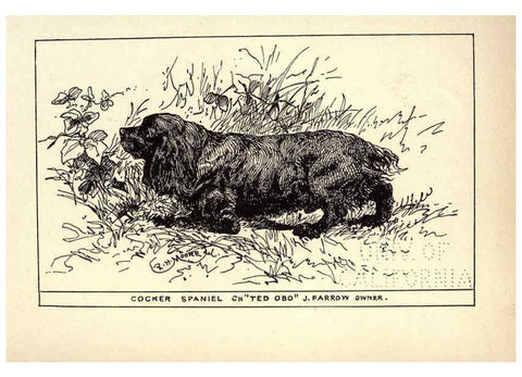 Reproducción/Reproduction 6233739969: All about dogs; a book for doggy people New York,J. Lane,1900