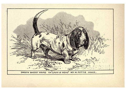 Reproducción/Reproduction 6234264842: All about dogs; a book for doggy people New York,J. Lane,1900