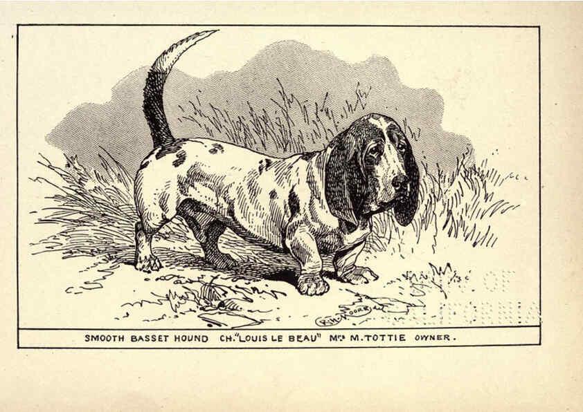 Reproducción/Reproduction 6234264842: All about dogs; a book for doggy people New York,J. Lane,1900