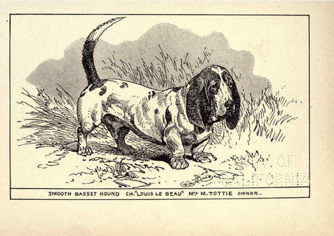Reproducción/Reproduction 6234264842: All about dogs; a book for doggy people New York,J. Lane,1900