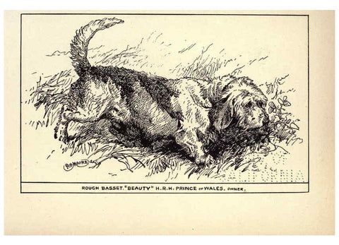 Reproducción/Reproduction 6234264972: All about dogs; a book for doggy people New York,J. Lane,1900