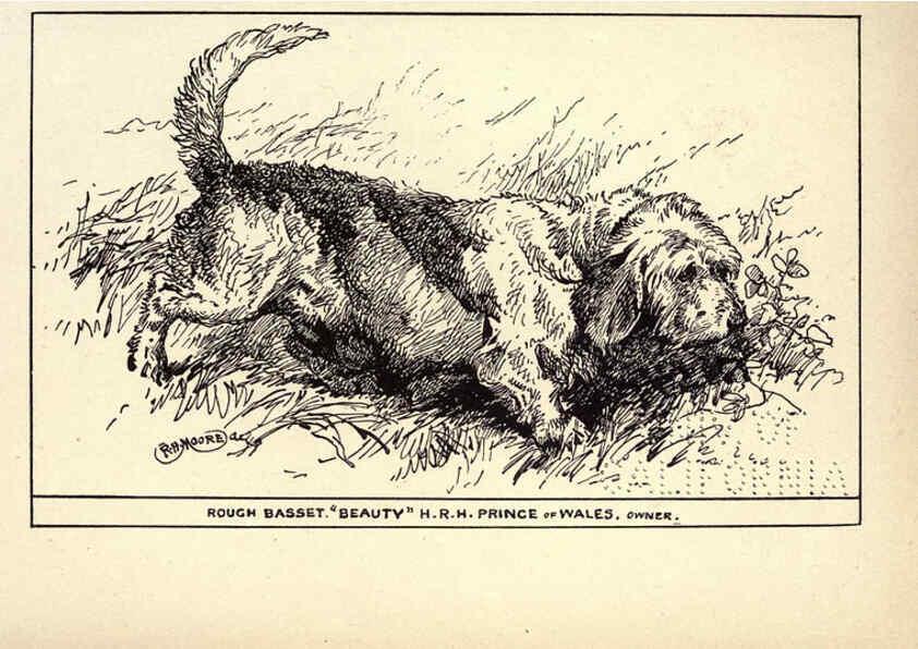 Reproducción/Reproduction 6234264972: All about dogs; a book for doggy people New York,J. Lane,1900