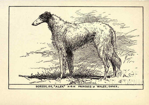 Reproducción/Reproduction 6234265808: All about dogs; a book for doggy people New York,J. Lane,1900