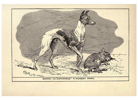 Reproducción/Reproduction 6233741143: All about dogs; a book for doggy people New York,J. Lane,1900