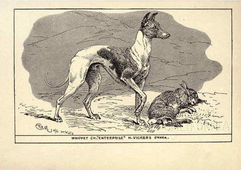 Reproducción/Reproduction 6233741143: All about dogs; a book for doggy people New York,J. Lane,1900