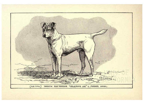 Reproducción/Reproduction 6233741315: All about dogs; a book for doggy people New York,J. Lane,1900