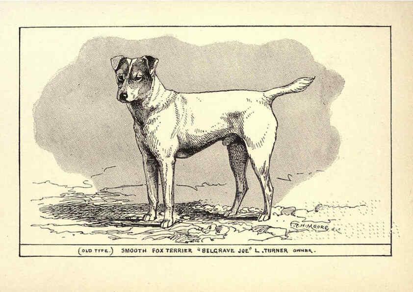 Reproducción/Reproduction 6233741315: All about dogs; a book for doggy people New York,J. Lane,1900
