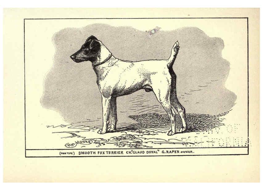 Reproducción/Reproduction 6234266258: All about dogs; a book for doggy people New York,J. Lane,1900