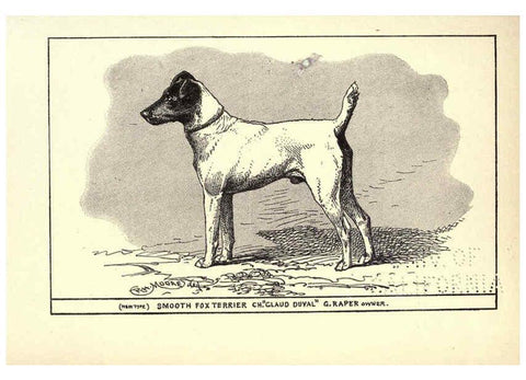 Reproducción/Reproduction 6234266258: All about dogs; a book for doggy people New York,J. Lane,1900