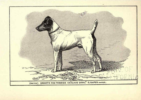 Reproducción/Reproduction 6234266258: All about dogs; a book for doggy people New York,J. Lane,1900