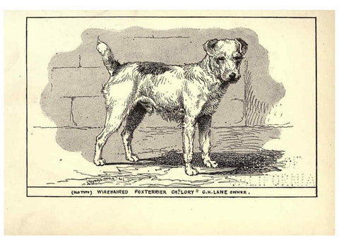 Reproducción/Reproduction 6233741629: All about dogs; a book for doggy people New York,J. Lane,1900