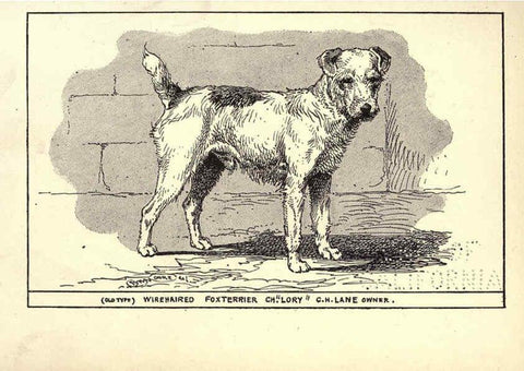 Reproducción/Reproduction 6233741629: All about dogs; a book for doggy people New York,J. Lane,1900