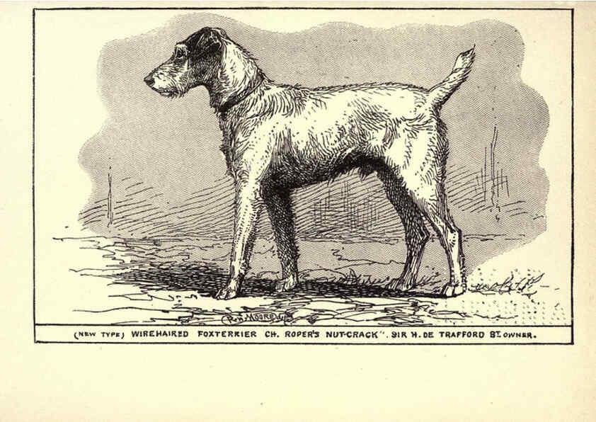 Reproducción/Reproduction 6233741811: All about dogs; a book for doggy people New York,J. Lane,1900